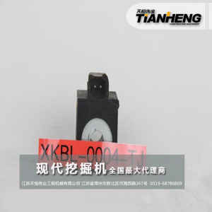 安全電磁閥 現代挖掘機配件 XKBL-00004
