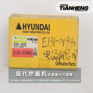 電磁閥總成 現代挖掘機配件 E131-01940