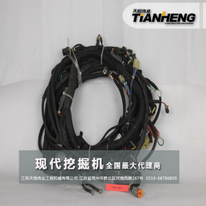 主線束 現代挖掘機 R80-7 21N1-10013